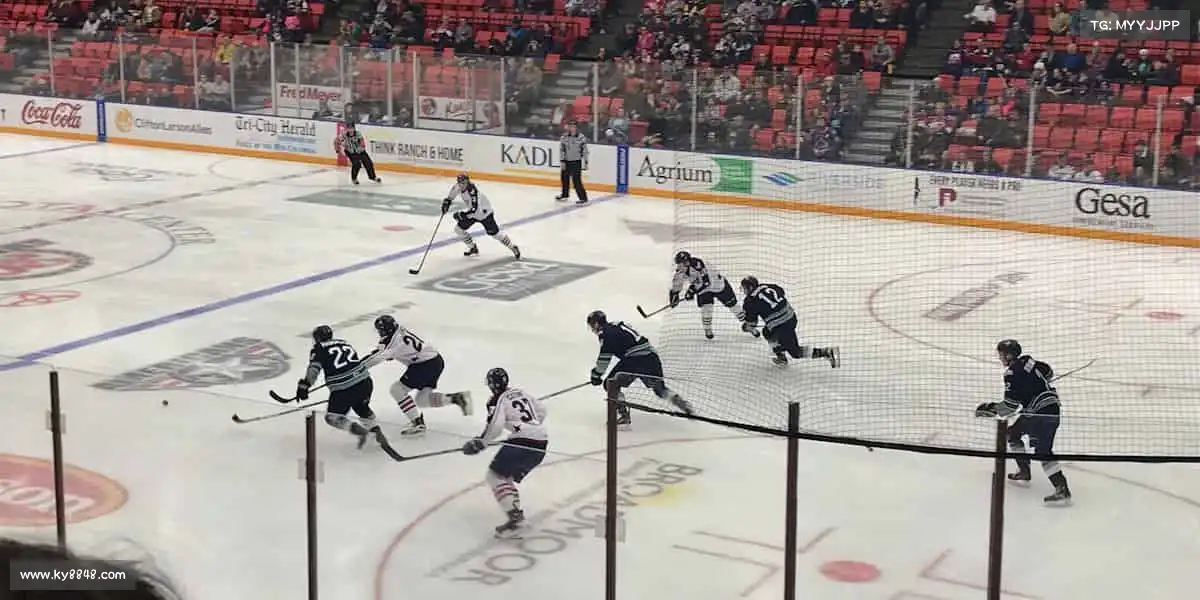 白嫖白菜网——🌟超越自我,成就非凡人生!